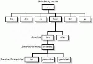 Directory Structure In Linux – Code Puppet